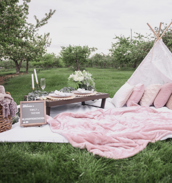 Luxury Picnics Acadia Gift Certificate